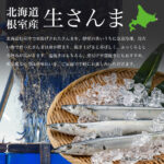 n-sanma001