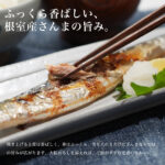 n-sanma001