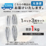 n-sanma001